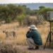Does Sound Really Deter Predators? Testing in the Field